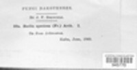 Image Associated With the Occurence